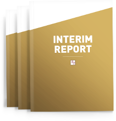 Interim Report